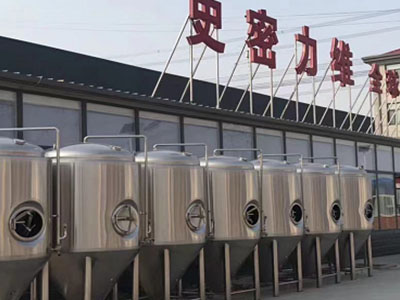 兴平精酿啤酒设备厂—如何判断精酿啤酒设备的密封件需要更换？